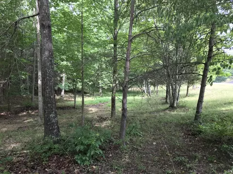 38 Quail Trl, Dunlap, TN 37327 photo 30