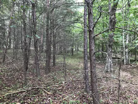 38 Quail Trl, Dunlap, TN 37327 photo 16