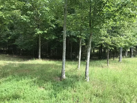 38 Quail Trl, Dunlap, TN 37327 photo 33