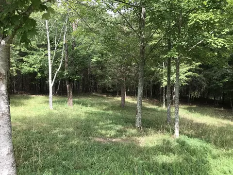 38 Quail Trl, Dunlap, TN 37327 photo 31