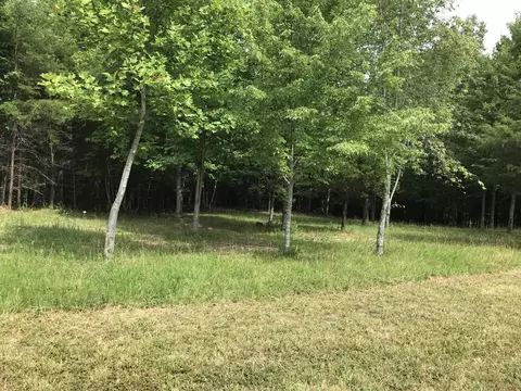 38 Quail Trl, Dunlap, TN 37327 photo 8