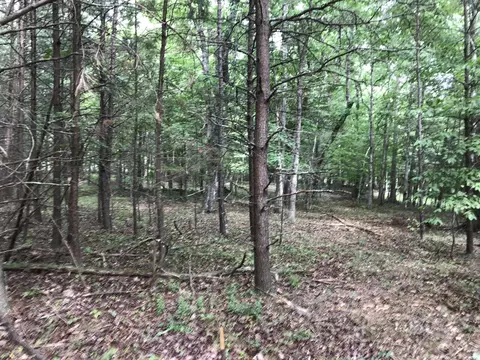 38 Quail Trl, Dunlap, TN 37327 photo 17