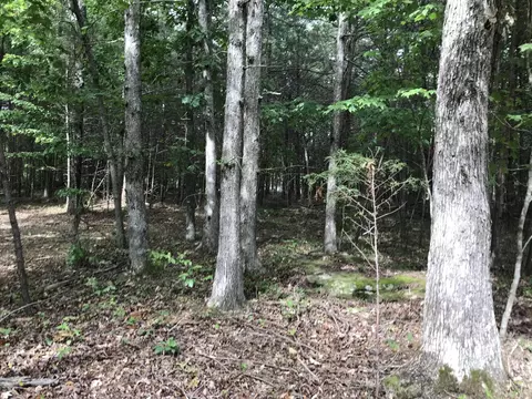 38 Quail Trl, Dunlap, TN 37327 photo 22