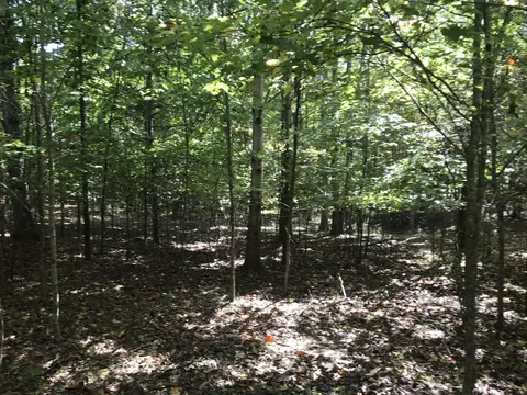 57 Deer Point Dr, Dunlap, TN 37327 photo 20