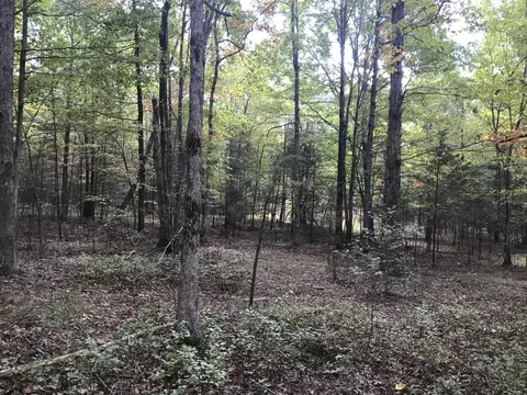 57 Deer Point Dr, Dunlap, TN 37327 photo 8