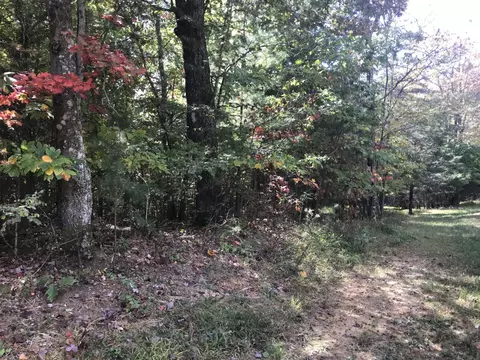 57 Deer Point Dr, Dunlap, TN 37327 photo 18
