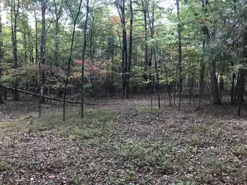 57 Deer Point Dr, Dunlap, TN 37327 photo 3