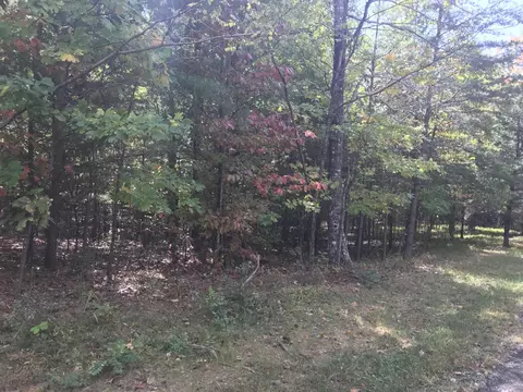 57 Deer Point Dr, Dunlap, TN 37327 photo 9