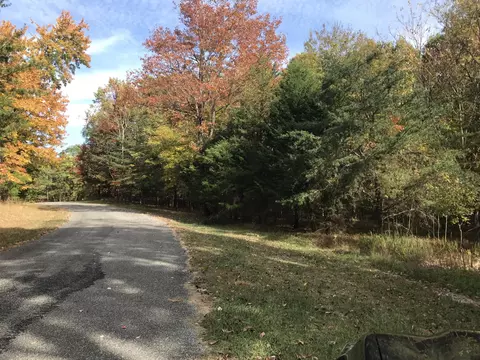 57 Deer Point Dr, Dunlap, TN 37327 photo 7