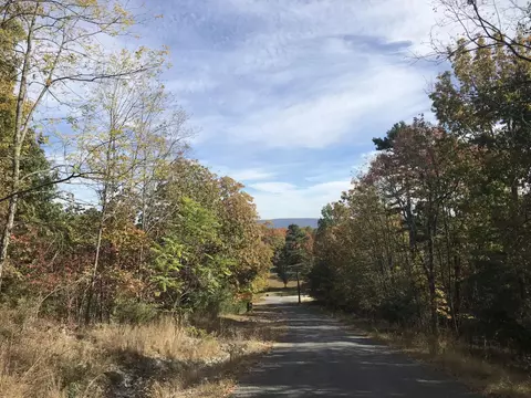 57 Deer Point Dr, Dunlap, TN 37327 photo 24