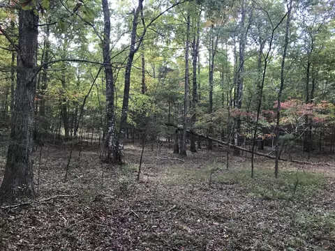 57 Deer Point Dr, Dunlap, TN 37327 photo 5
