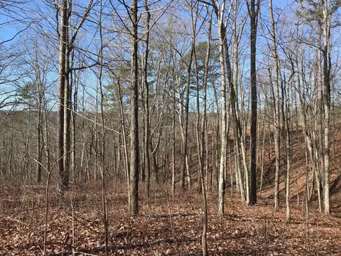 0 Chestnut Oak Dr, Dunlap, TN 37327