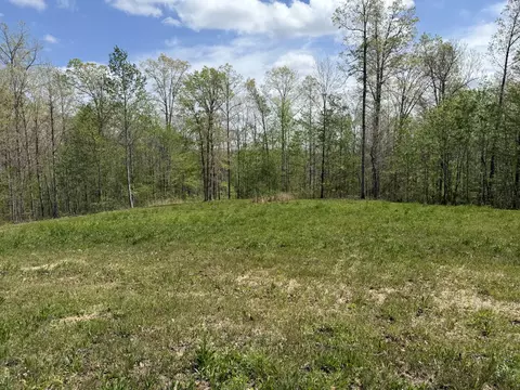 149 Countrywood Ln, Hohenwald, TN 38462