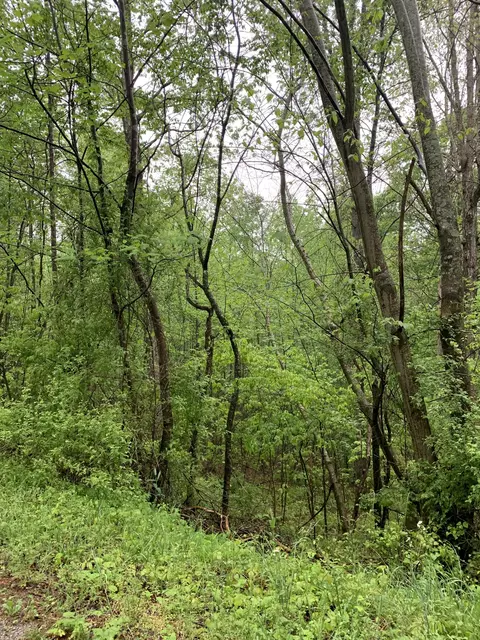 0 Four Star Pt, Smithville, TN 37166
