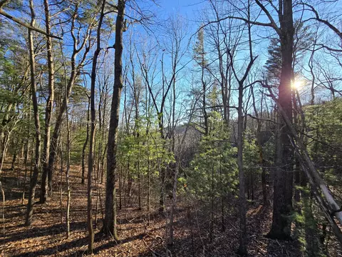 10754 Tatum Lead Rd, Chatsworth, GA 30705
