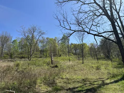 1074 Kersey Hollow Rd # A, Lynnville, TN 38472