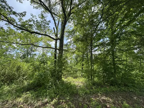 0 Joslin Branch Rd, White Bluff, TN 37187