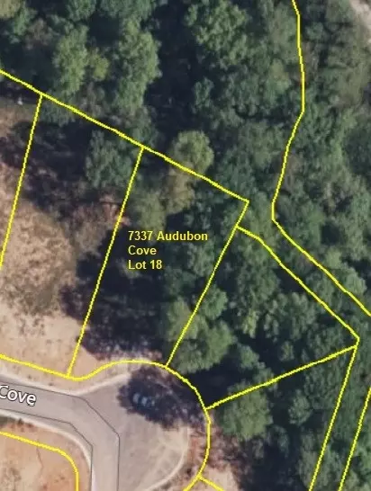 7337 Audubon Cv, Fairview, TN 37062