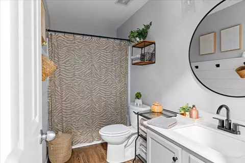Bath - 3715 Ivanora Dr, Spring Hill, TN 37174 photo 5 of 5