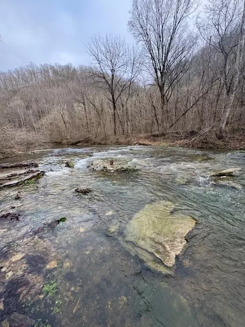 0 Brimstone Creek Rd, Moss, TN 38575