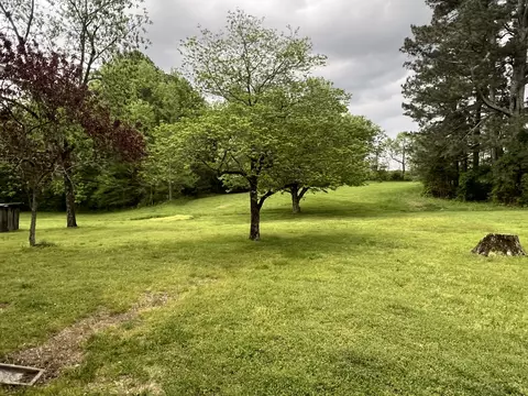 297 Appleton Rd, Five Points, TN 38457 photo 16