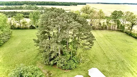 297 Appleton Rd, Five Points, TN 38457 photo 39