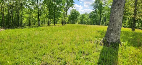 386 James Zimmerman Rd, Hampshire, TN 38461