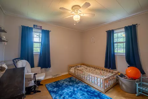 113 Horn Ave, Loretto, TN 38469 photo 15