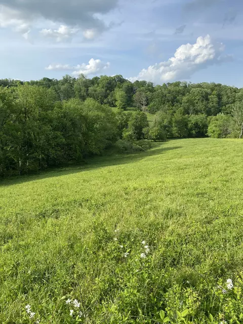 0 Ables Ln, Pulaski, TN 38478 photo 22