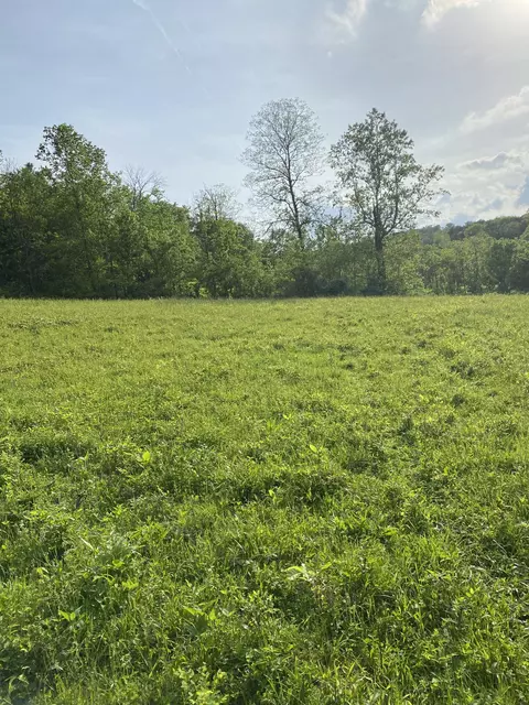 0 Ables Ln, Pulaski, TN 38478 photo 17