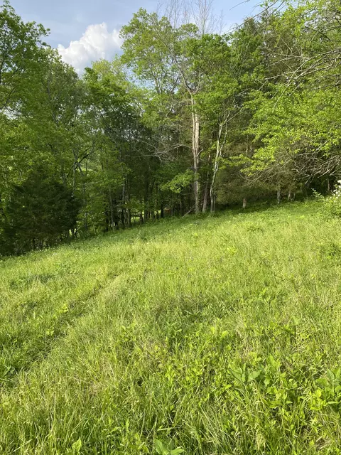 0 Ables Ln, Pulaski, TN 38478 photo 14