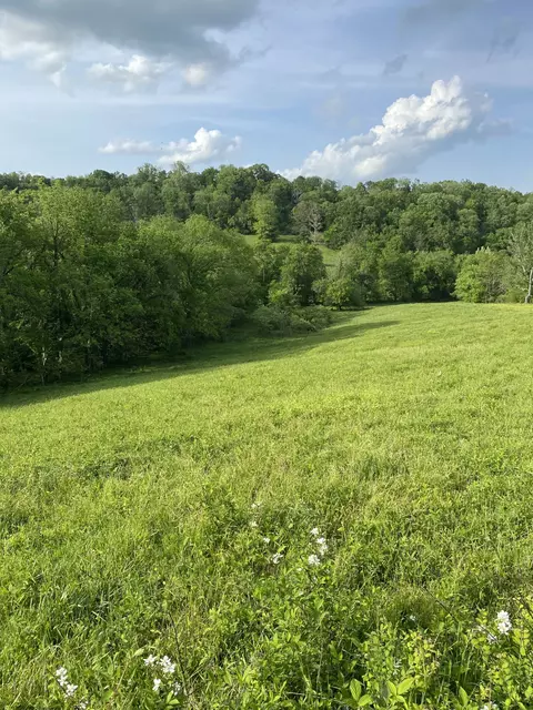 0 Ables Ln, Pulaski, TN 38478 photo 15