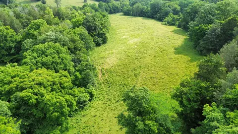 0 Ables Ln, Pulaski, TN 38478 photo 5