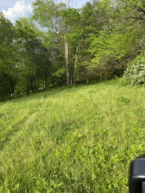 0 Ables Ln, Pulaski, TN 38478 photo 20