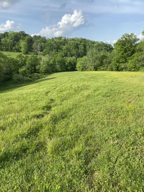 0 Ables Ln, Pulaski, TN 38478 photo 8