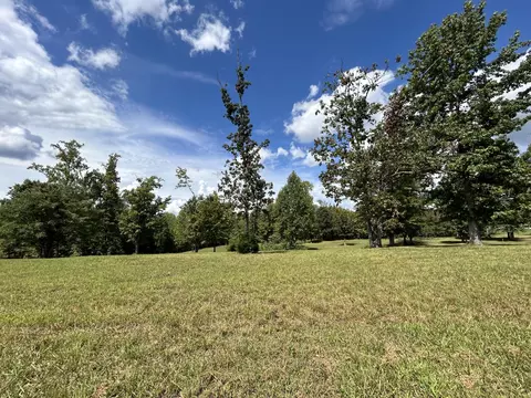 180 Raulston Falls Rd, Jasper, TN 37347 photo 16