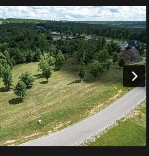 180 Raulston Falls Rd, Jasper, TN 37347 photo 26