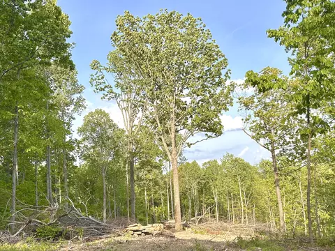 0 Nora Ln, Pegram, TN 37143