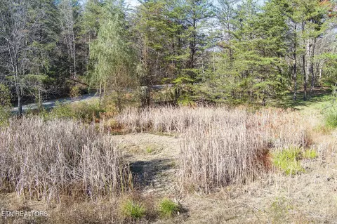 1240 Burks Loop, Grimsley, TN 38565 photo 13