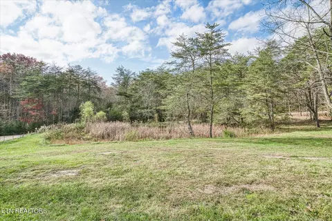 1240 Burks Loop, Grimsley, TN 38565 photo 12