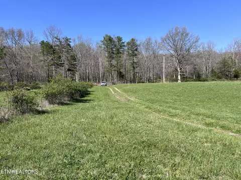 0 Coon Hollow Rd 4164 Acres, Sunbright, TN 37872
