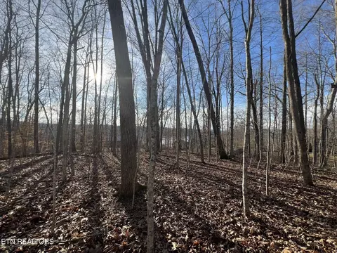 0 Lakeview Ter, Byrdstown, TN 38549