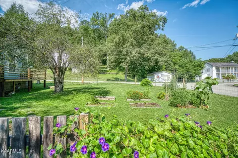 115 Spring St, Lancing, TN 37770 photo 13