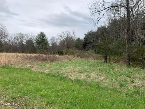 106 Aytes Ln, Lancing, TN 37770 photo 3