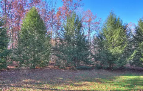 101 Renee Ln, Clarkrange, TN 38553 photo 33