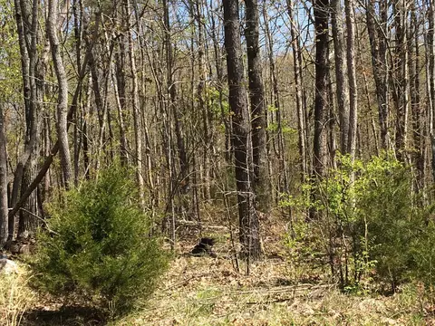 844 River Chase Tr, Clarkrange, TN 38553 photo 6