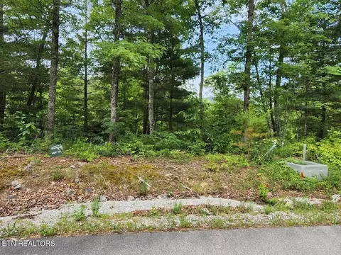 441 Hawken Dr, Walland, TN 37886