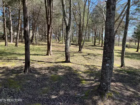 116 Gibson Rd, Lancing, TN 37770 photo 34