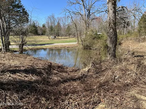 116 Gibson Rd, Lancing, TN 37770 photo 37