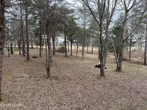 116 Gibson Rd, Lancing, TN 37770 photo 41